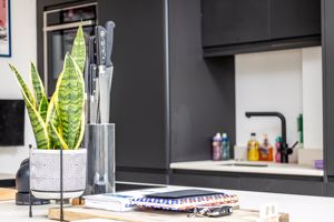 .- click for photo gallery